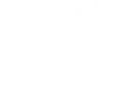 Logo Michelle Bivotti